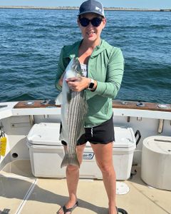 Striped bass fishing in MA