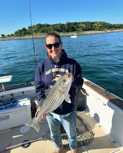 Striped Bass caught fishing in Hingham