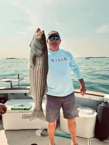 Striped bass caught fishing in Hingham