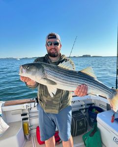 Striped bass caught while fishing in Hingham