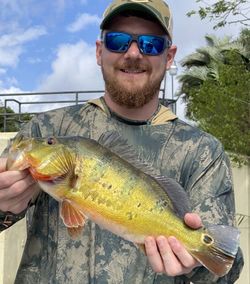 Angler fishing in Florida