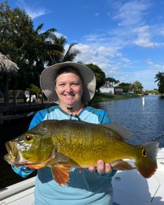 Great catch of 1 fish from FL