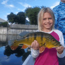 Anglers catching a fish in FL