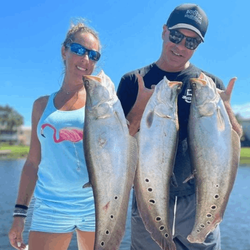 3 channel catfish, 23 inches long, caught at Delray Beach