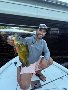 Angler enjoying a great day of fishing in Delray Beach