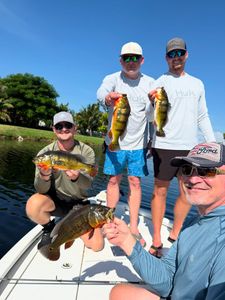 Four anglers catching fish at Delray Beach