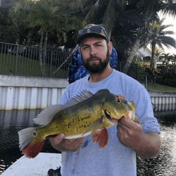 Peacock bass caught in Delray Beach