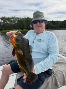 Angler fishing in Florida