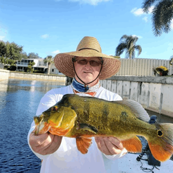 Angler with one fish in Florida