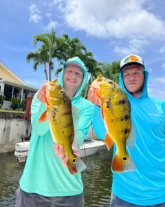 Two anglers fishing with rods in Florida