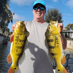 Two fish caught in FL with fishing equipment