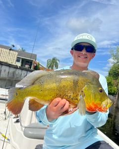 1 fisherman reeling in a 21-inch fish in FL