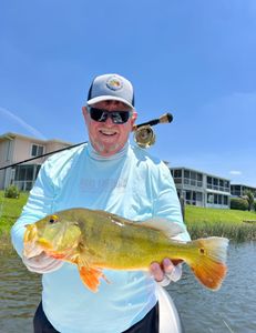 A person fishing with a rod and reel in Florida