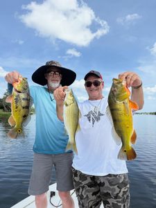 Three wiper (hybrid striped bass) in Florida