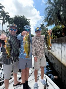 Three anglers fishing in FL