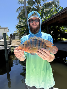 Big Mexican Mojarra reeled in using light tackle at Lake Ida!