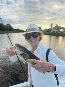 Largemouth Bass caught while fishing in FL