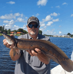 Lone angler fishing in Florida