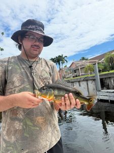 Lone angler fishing in Florida