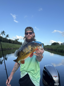 Fly fishing for Peacock Bass under partly cloudy skies in Delray Beach!
