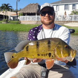 Peacock bass fishing in FL