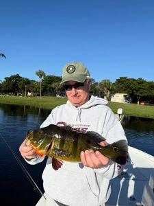 Peacock bass caught fishing in FL