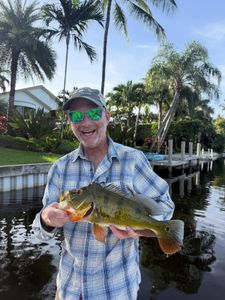 Peacock bass fishing in FL