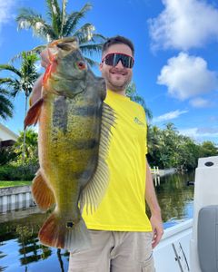 A lone angler fishing in FL