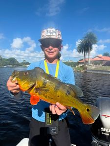 Lone angler fishing on the shore in FL