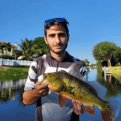 Angler with 17-inch fish caught in FL