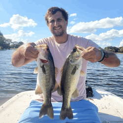 Two massive largemouth bass caught in FL