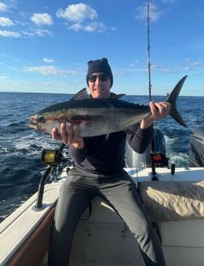Caught a big blackfin tuna on a fishing trip at Kiawah Island