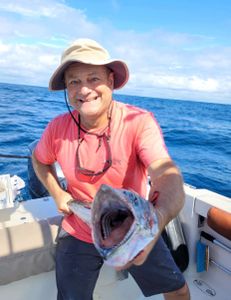 One fish caught on a cruises and fishing trip at Kiawah Island