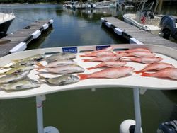 Five fish caught during a cruise and fishing adventure at Kiawah Island