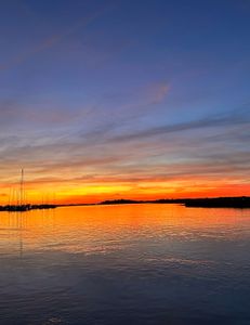 Scenic view of Kiawah Island landscape