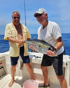 king mackerel fishing in sc