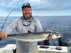 A single king mackerel fish, 28 inches long, caught in SC