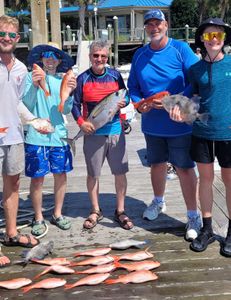 4 fish caught on cruises and fishing trip at Kiawah Island