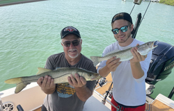 A fisherman holds a large snook caught while fishing in St James City