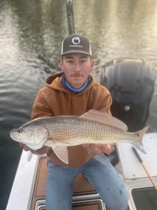 Redfish caught in St James City