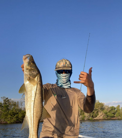 Snook fish caught in FL