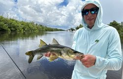 Snook fish caught while fishing in St James City