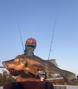 Snook fish caught by fishing in St James City