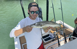 Snook Fish Caught in St James City