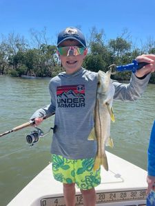 Snook fishing in FL
