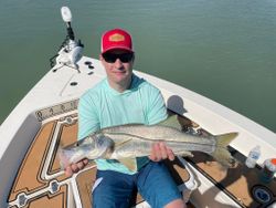 Snook fishing in St James City