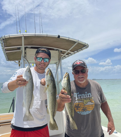 3 spotted weakfish, fishing in FL