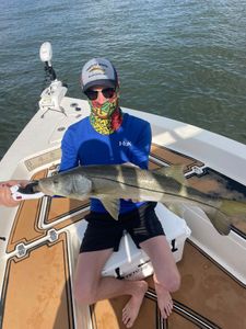 Snook fish caught in St James City