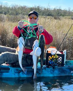 3 big fish caught while fishing in TX