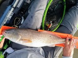 A great fishing trip in TX